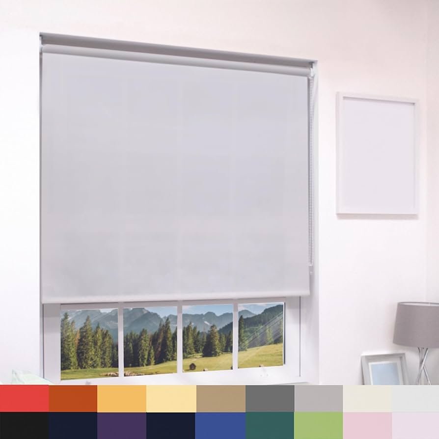 Beneficios de un Servicio Profesional de Limpieza para Cortinas Roller Black Out